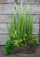 Anya piękna kompozycja Trawy & Sukulenty w lustrzanej donicy, wys.73cm