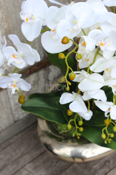 ogromny storczyk sztuczny w aluminiowej donicy Ballada, wys.80cm 