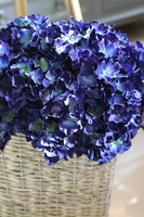 bogaty kosz z hortensjami, Granatowa Elegancja, kpl.2szt