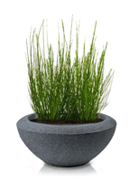 Ecolite donica / osłonka, ciemny granit, 50x24cm