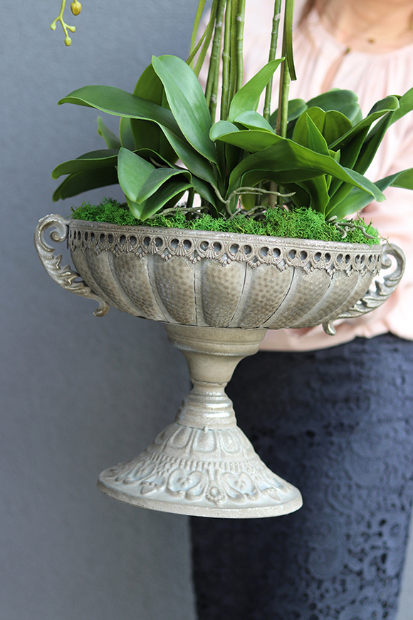 bardzo duży storczyk Pallais w metalowym pucharze, wys.85cm