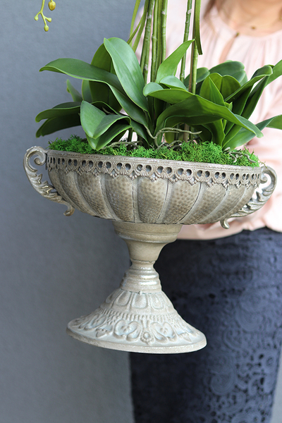 bardzo duży storczyk Pallais w metalowym pucharze, wys.85cm