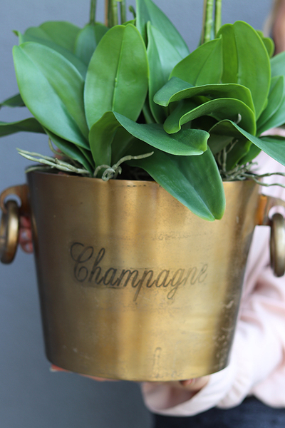 Golden Cooler, ekskluzywny sztuczny storczyk w złotym coolerze, wys.80cm