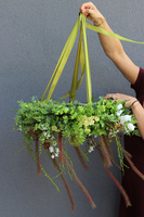 duży sufitowy wianek, Green Nature, śr.60cm