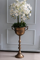 atrakcyjny wysoki storczyk w pucharze, Pałacowa Aura, wys.152cm 