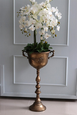 atrakcyjny wysoki storczyk w pucharze, Pałacowa Aura, wys.152cm 