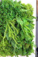 atrakcyjna jednostronna rama Sukulenty Hotels Forest, wym.77x57cm