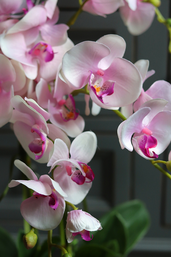 Różowa Poświata, storczyk w lustrzanej donicy, wys.67cm 