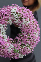 Balletina Premium, delikatny kwiatowy wianek na drzwi, śr.36cm 