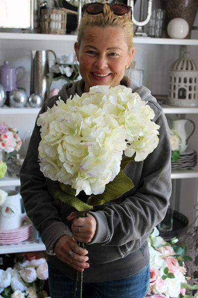 kremowa hortensja 1 sztuka, wys.80cm Cream