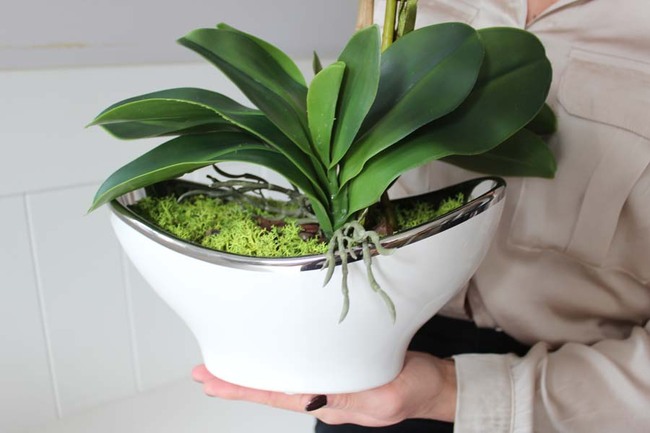 Galiano Big, wyjątkowy sztuczny storczyk, wys.52cm