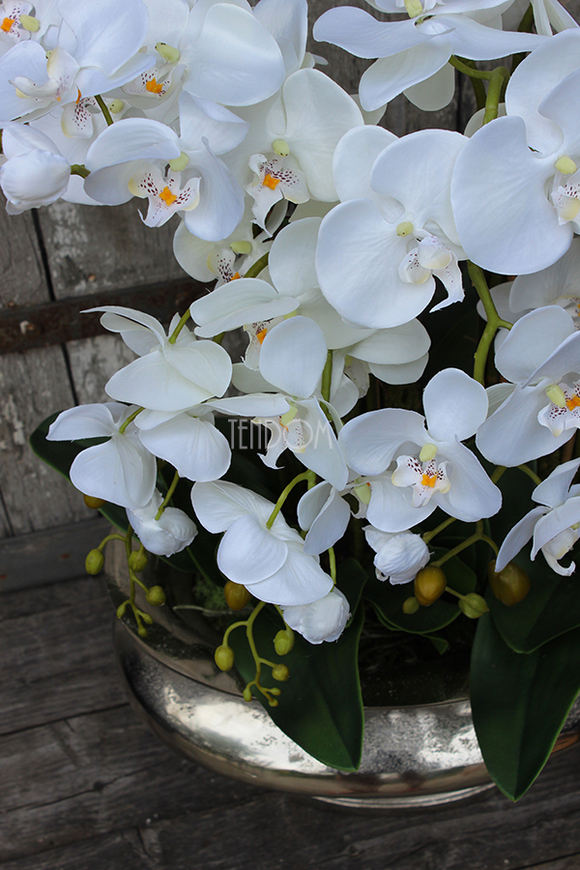 ogromny storczyk sztuczny w aluminiowej donicy Ballada, wys.80cm