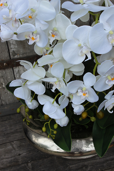 ogromny storczyk sztuczny w aluminiowej donicy Ballada, wys.80cm 