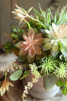 Albertina Small, welurowy flowerbox z sukulentami, wys.28cm