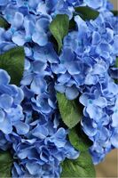 bardzo bogaty kosz hortensji, Blue Velina, wym.48x50cm 