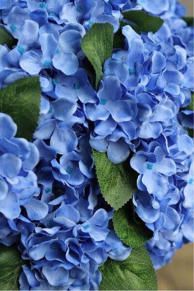 bardzo bogaty kosz hortensji, Blue Velina, wym.48x50cm 