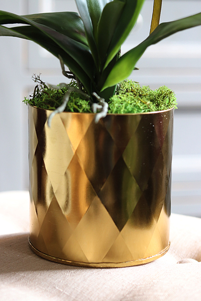 gumowy sztuczny storczyk Madame Stoltz Gold, wys.56cm