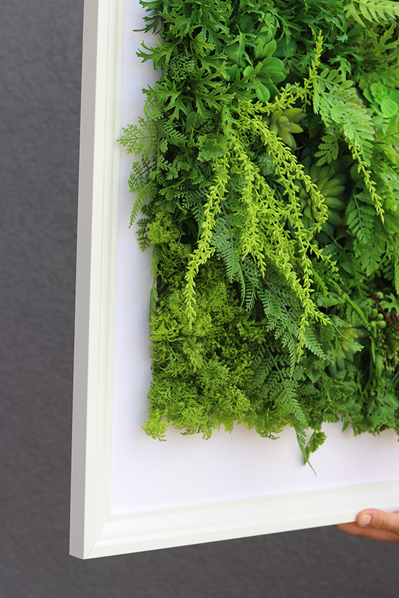 atrakcyjna jednostronna rama Sukulenty Hotels Forest, wym.77x57cm