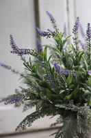 Lawendowe Wzgórza, kompozycja w cementowym pucharze Grigio, wym.50cm