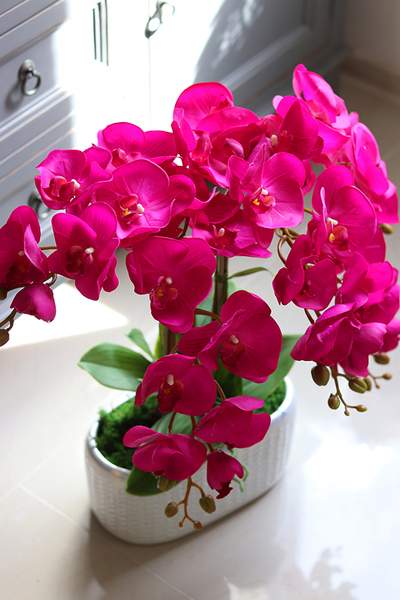 gumowy storczyk w perłowej donicy, Pink Power wys.55cm