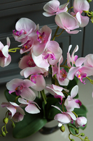 Różowa Poświata, storczyk w lustrzanej donicy, wys.67cm 