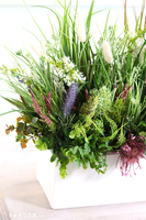 kompozycja z trawami w białej donicy, Polna Łąka Extra, wys.45cm