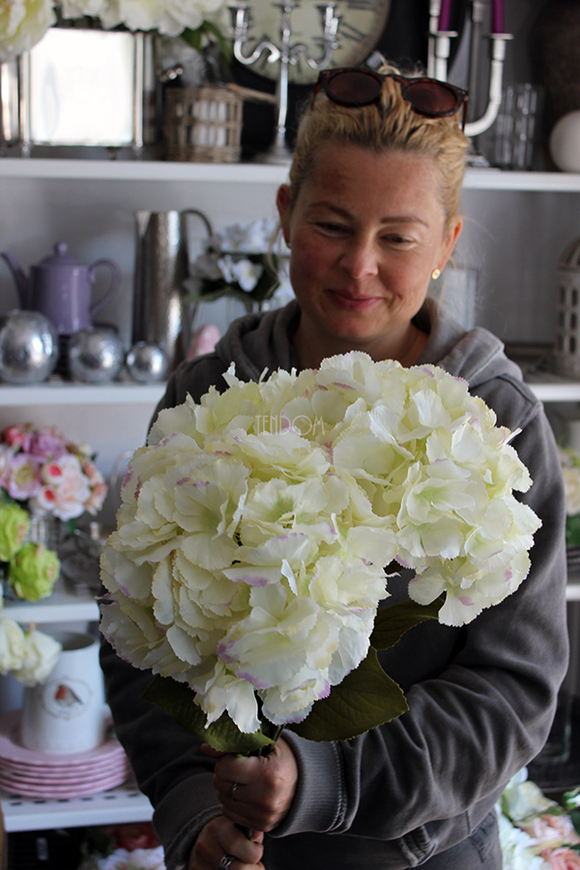 kremowa hortensja 1 sztuka, wys.80cm Cream