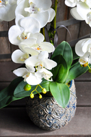 sztuczny storczyk Irmina w kolorze naturalnej bieli, wys.70cm