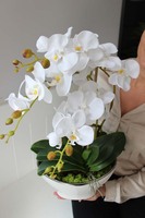 Galiano Big, wyjątkowy sztuczny storczyk, wys.52cm