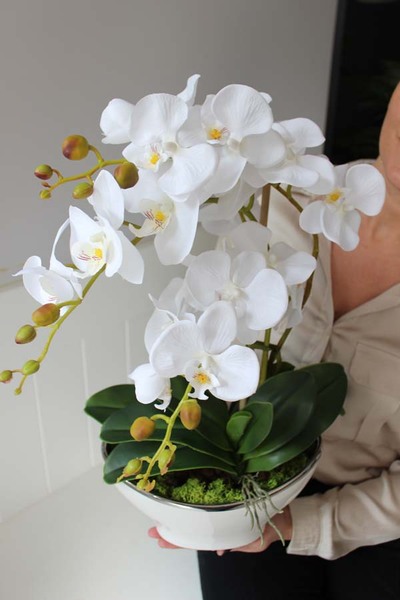 Galiano Big, wyjątkowy sztuczny storczyk, wys.52cm