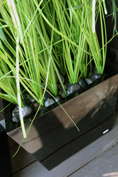 kompozycja Trawy Macarena w sześciennej czarnej donicy, wys.140cm 