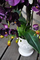 przepiękny storczyk Purple w ozdobnej donicy wys.ok.68cm