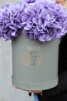 kompozycja kwiatowa / bukiet Flowerbox hortensja XXL, wys.43cm 