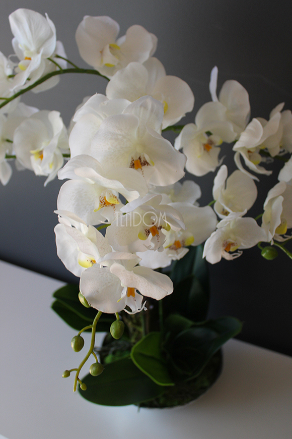 sztuczny storczyk Silver Dreams 3 w srebrnej, aluminiowej donicy, wys.68cm