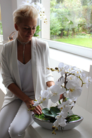 efektowny storczyk Laos White&Silver, wys.52cm