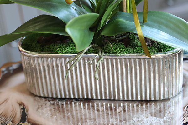 elegancki biały storczyk w srebrnej donicy, Santiago, wys.47cm