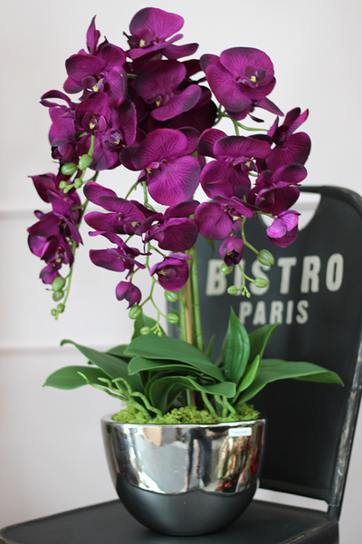 Iwona Cinderella, fioletowy storczyk w lustrzanej donicy, wys.70cm