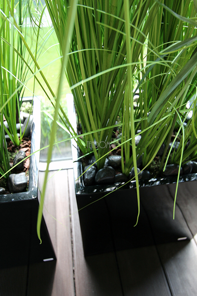 kompozycja Trawy Macarena w sześciennej czarnej donicy, wys.140cm 