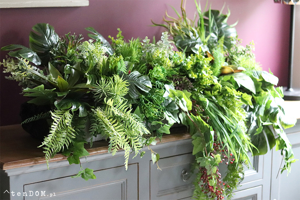 GreenViet Premium, egzotyczna kompozycja roślinna, 1m bieżący