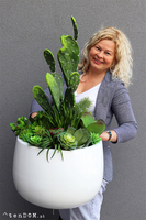 Desideria Cacti Fiberglass, sukulenty z kaktusem w białej donicy,  wys.92cm