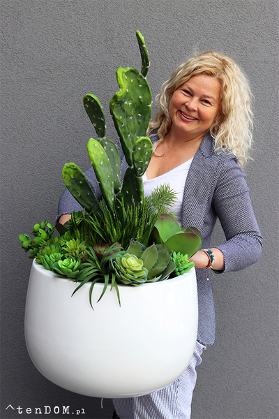 Desideria Cacti Fiberglass, sukulenty z kaktusem w białej donicy,  wys.92cm