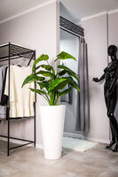 Della donica biel z wewnętrzną półką 40x75cm