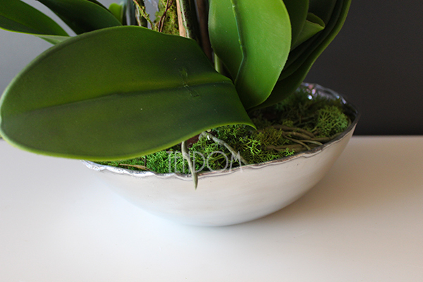 sztuczny storczyk Silver Dreams 3 w srebrnej, aluminiowej donicy, wys.68cm