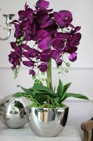 Iwona Cinderella, fioletowy storczyk w lustrzanej donicy, wys.70cm
