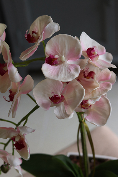 Georgina New, sztuczny storczyk w kwadratowej donicy, wys.47cm