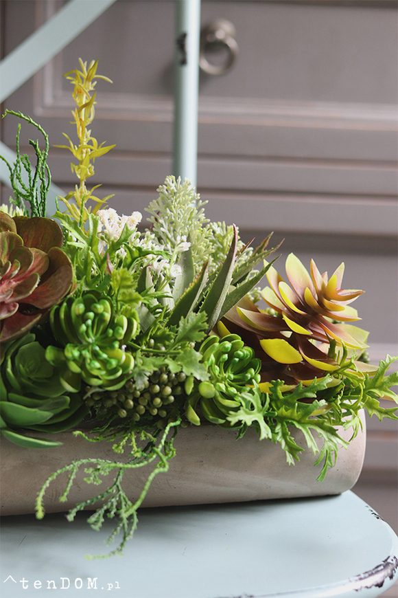 kompozycja sukulenty w długiej donicy, Hektor A, dł.48cm  