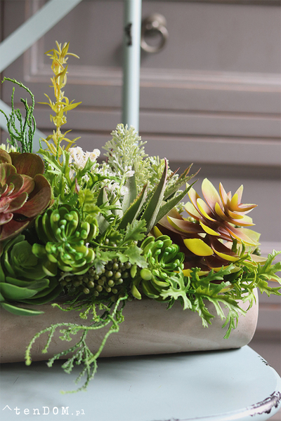 kompozycja sukulenty w długiej donicy, Hektor A, dł.48cm  