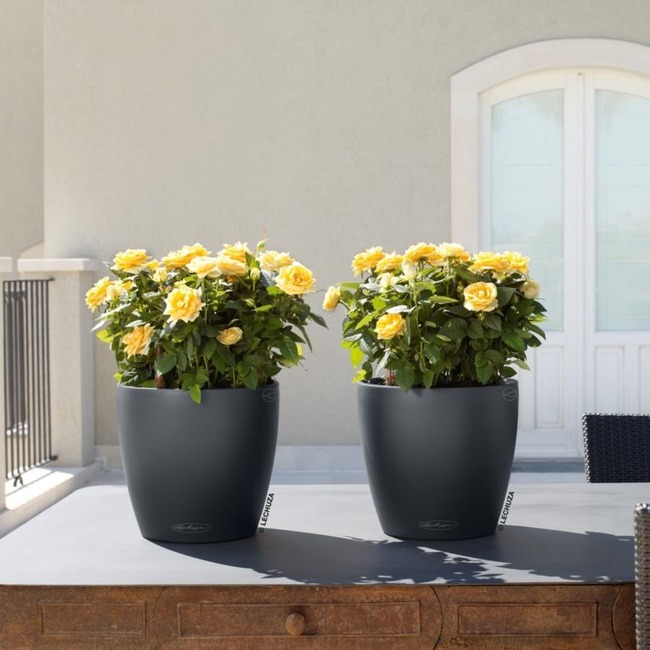 Classico, elegancka donica z nawadnianiem, szara, wym.33x35cm