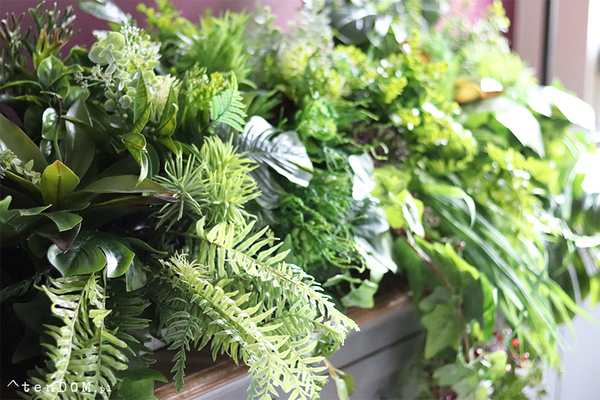 GreenViet Premium, egzotyczna kompozycja roślinna, 1m bieżący