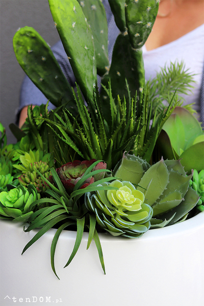 Desideria Cacti Fiberglass, sukulenty z kaktusem w białej donicy,  wys.92cm